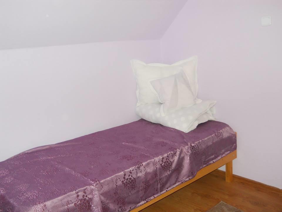 Ersa Panzio Hotel Bisericani  ห้อง รูปภาพ