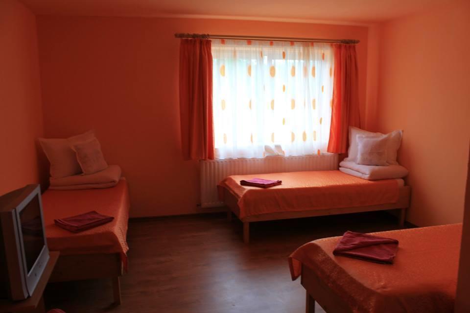 Ersa Panzio Hotel Bisericani  ห้อง รูปภาพ