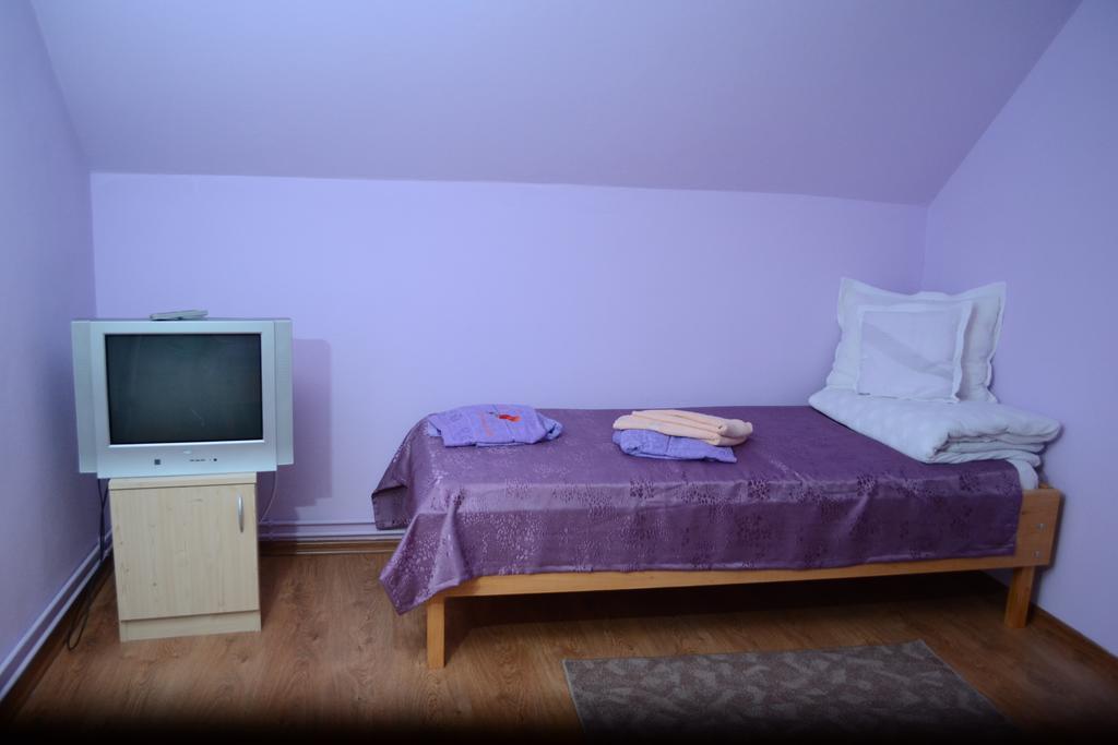 Ersa Panzio Hotel Bisericani  ห้อง รูปภาพ
